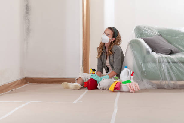 Reliable Mold Remediation contractor in Des Moines, WA by 24 Hour Mold Removal